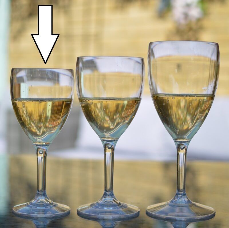 Plastic Wine Glasses 9oz UK