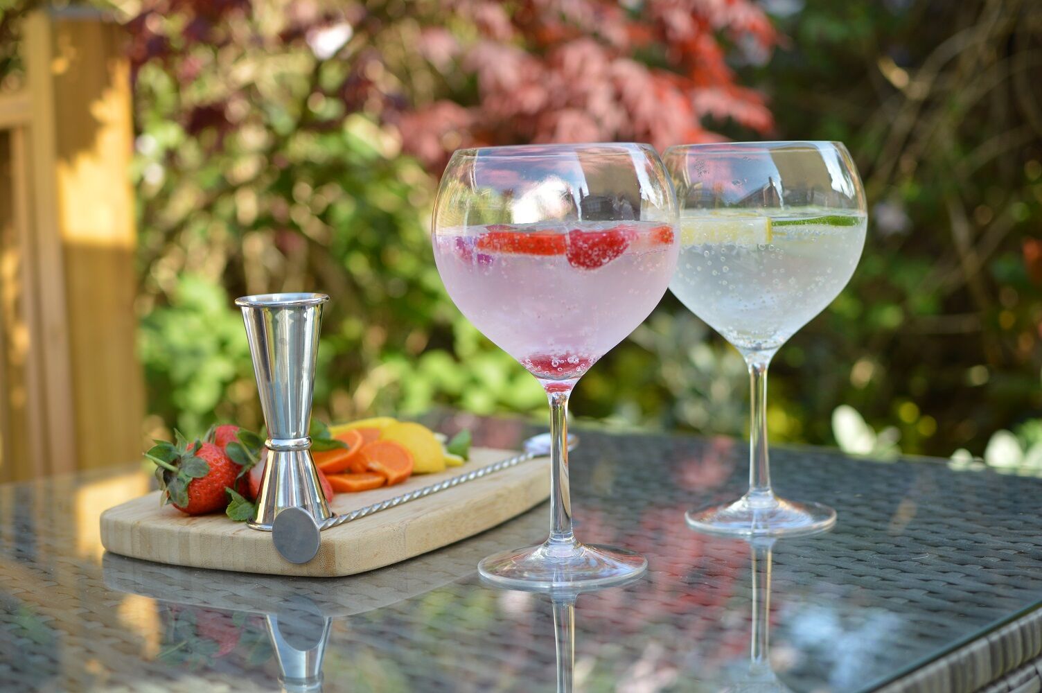 Plastic Gin Glasses