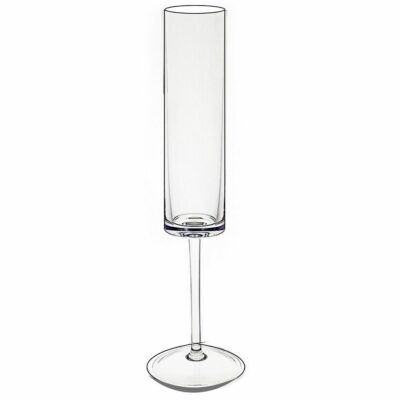 Plastic Champagne Flute Glasses Polycarbonate