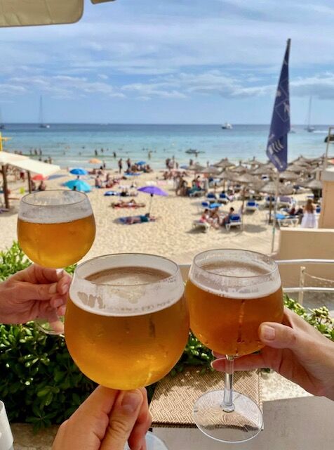 Beer Gin Glasses - Balloon Gin Glasses - Unbreakable - Polycarbonate