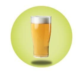 image for Tulip Beer Glasses