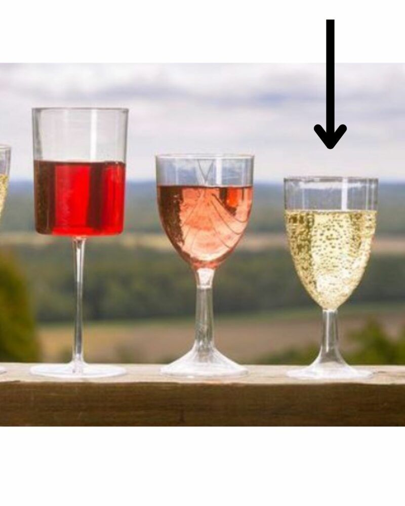 Cheap - Low cost plastic wine glasses - Glassjacks
