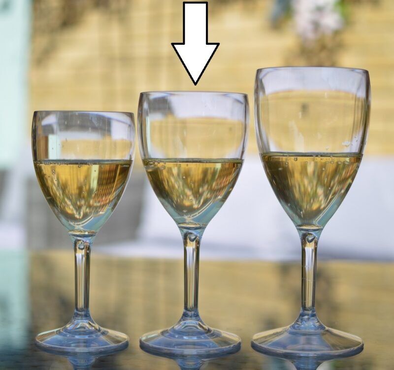 Plastic Wine Glasses 11oz 9oz 14oz