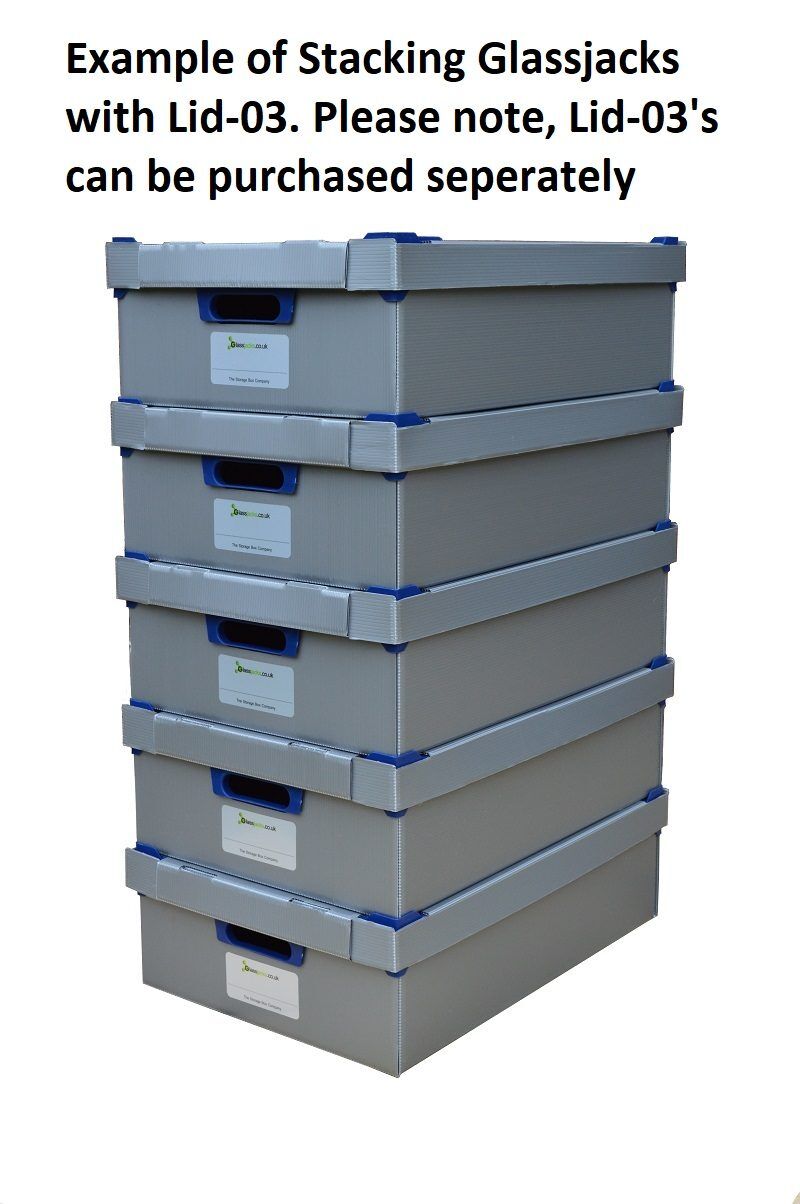 Stacking Plastic Storage Boxes with lids