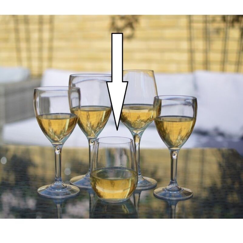 Stemless Plastic Wine Glasses