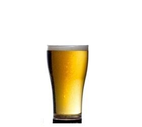 Elite Viking, Half Pint Plastic Glasses, Nucleated 10oz CE - 36 Pack - Image 4
