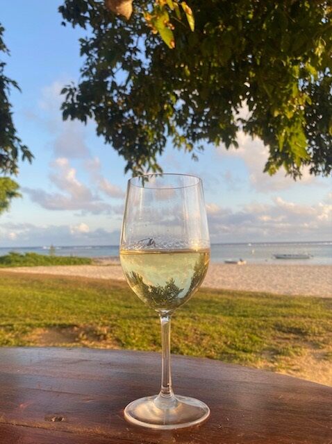 Bella Plastic Wine Glasses By Glassjacks