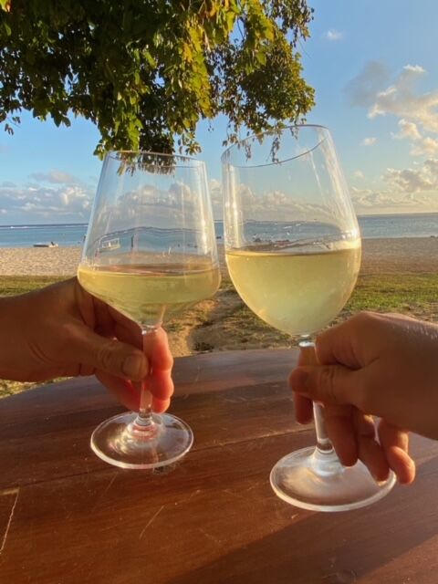 Glassjacks Plastic Wine Glasses
