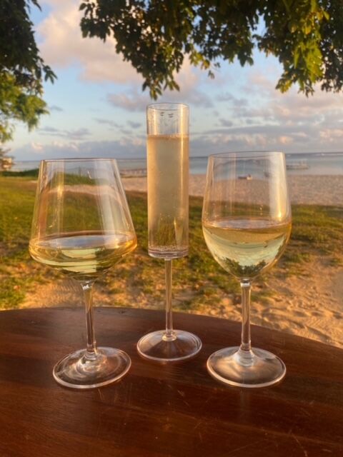 Polycarbonate Plastic Glassware