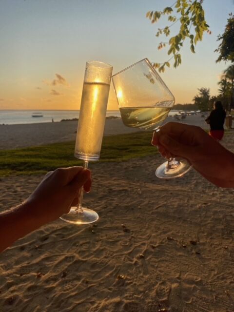 Plastic Champagne Flute - Polycarbonate - Unbreakable and Reusable 5oz