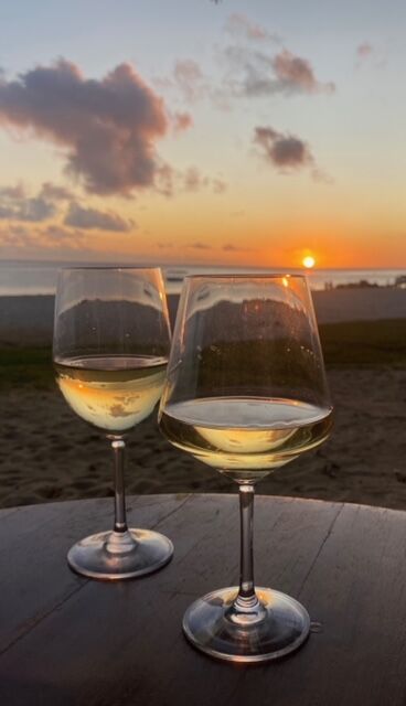 Vino Wine Glass - Unbreakable and Reusable - Premium 15oz