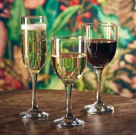 Tokyo Stemware Wine Glasses Champagne Flutes